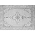 thumbnail image 1 of Ahgly Company Indoor Rectangle Persian Gray Traditional Area Rugs, 7' x 10', 1 of 1