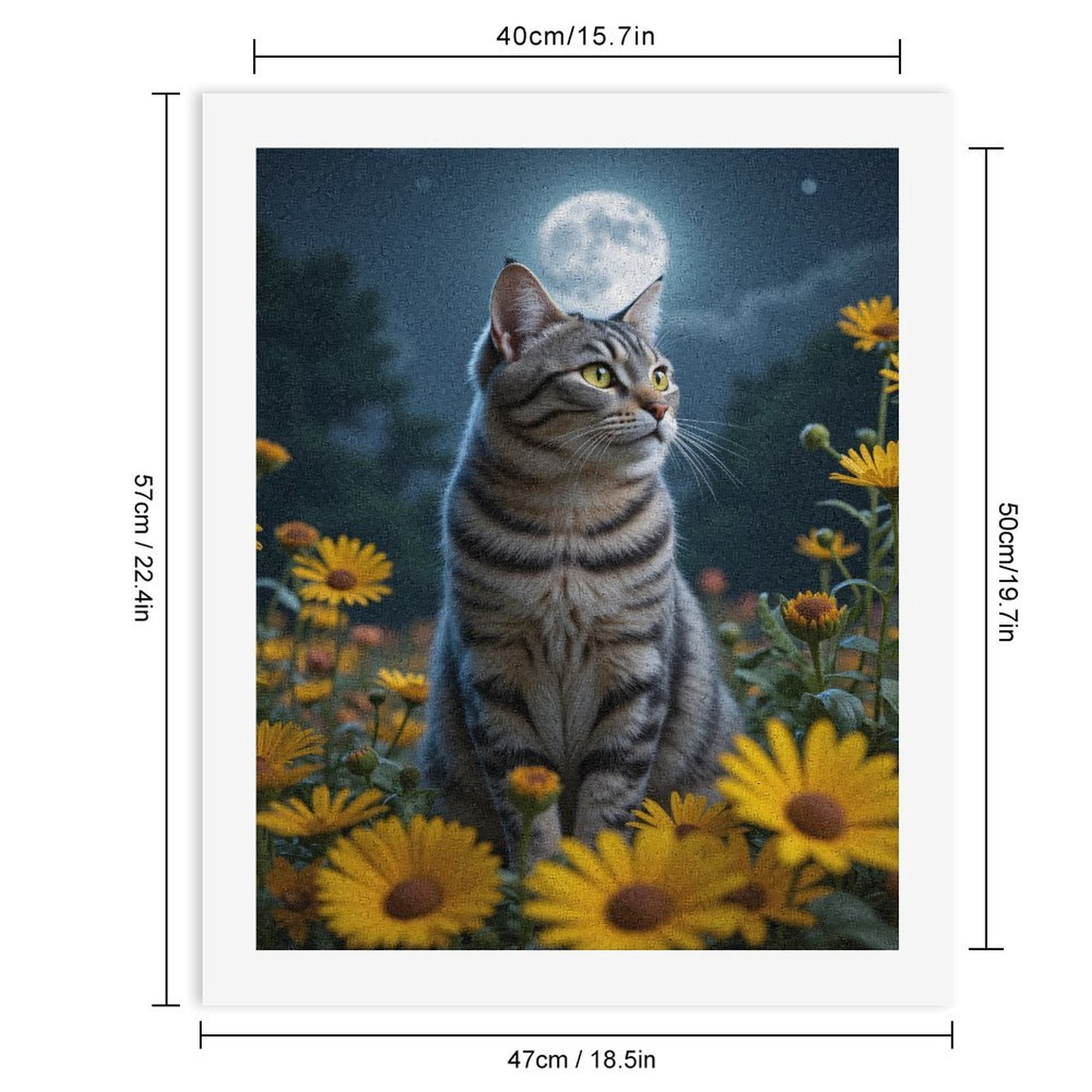 Paint by Numbers Kit for Adults, Cat In Moonlit Flower Field Paint by Numbers, Easy Paint by Numbers Kit for Adults Beginner, DIY Adult Paint by Number Kits on Canvas, Home Decor
