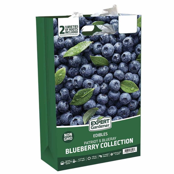 Expert Gardener Blueberry Collection #1 (Set of 2 Dormant Bare Roots) Full Sun, Blue, Perennial