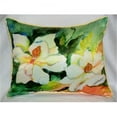 thumbnail image 1 of Betsy Drake ZP251 Magnolia Jeter Oreiller- 20 x 24 Po., 1 of 1