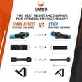 thumbnail image 4 of Home Gym Resistance Bands (Set of 11) with Carry Bag and Jump Rope, 4 of 5