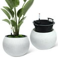thumbnail image 2 of Edtara Round Self-Watering Planter, Large Flower Pot With Drainage System and Water Level Monitor for Porch or Patio, 2 of 9