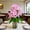 Pink, variant on Red Artificial Flowers,Realistic Flowers,Spring Flowers,13In Blue Artificial Lily Bouquet,Lifelike Fake Lilies For Wedding,Home,Table,Party And Indoor Decoration.(Red)
