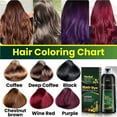 thumbnail image 3 of stanreset Shampooing Colorant pour Cheveux 500ml Shampooing à Base de Plantes pour Hommes et Femmes, 3 of 6