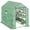 Green, variant on Outsunny Walk-in Greenhouse with 3 Tier 12 Shelves, Small Greenhouse, Green