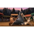 thumbnail image 4 of Open Season 3 (Blu-ray + DVD), Sony Pictures, Kids & Family, 4 of 9