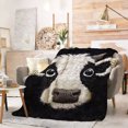 thumbnail image 4 of FLASHLUMI 60"×80" Soft Sherpa Blanket, Cozy Plush Warm Throw Blanket for Couch Bed Sofa Home Office Decor, 4 of 10