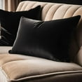 thumbnail image 2 of Plutus Black Midnight Luxe Velvet Luxury Throw Pillow, 2 of 6