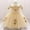 Beige, variant on TAIAOJING Girls Dress Baby Toddler Princess Bowknot Dresse Kids Casual Floral Sleeveless Clothing Party Party Dresses