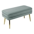 thumbnail image 1 of TOV Furniture Ziva Banc de Rangement Transitionnel en Velours de 16,5 Po H, Bleu, 1 of 6