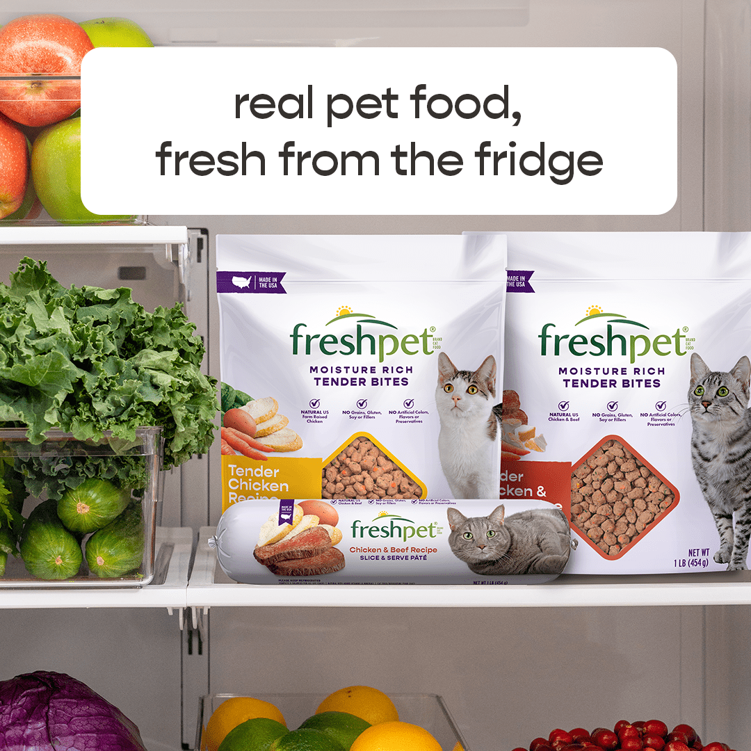 Freshpet Fresh Cat Food, Tender Chicken Recipe, Tender Bites Freshly Roasted Meal 1 lb.