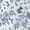 Blue Toile, variant on onn Opalescent Phone Case for iPhone 17e / iPhone 16e / iPhone 15 / iPhone 14 / iPhone 13