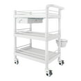 thumbnail image 2 of Beauty Salon Trolley with Wheels, Multifunctional Beauty Cart for Tools and Instruments, ABS Beauty Salon Organizer, Rolling Beauty Equipment Storage Cart Salon Organizer Beauty Tool Storage (White), 2 of 17