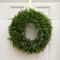 thumbnail image 2 of National Tree Company Artificial Christmas Wreath, Green, Arborvitae, 24 Inch, 2 of 4