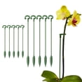 thumbnail image 1 of Soporte para palos de plantas, paquete de 10, soporte para plantas, estacas para plantas, soporte para plantas, maceta, enrejado trepador, 1 of 4