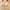 Beige, variant on snowsong Wireless Bras for Women,New 2024 Women's Comfortable Breathable Non-Steel Ring Beautiful Back Large Size Wireless Bra,Bras for Women,Push up Bras,Womens Clothing,(Promotion) Beige L