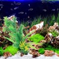 thumbnail image 1 of NUOLUX 2Ud Flotantes Para Acuario Decorativas Resistentes Y Reemplazables, 1 of 5