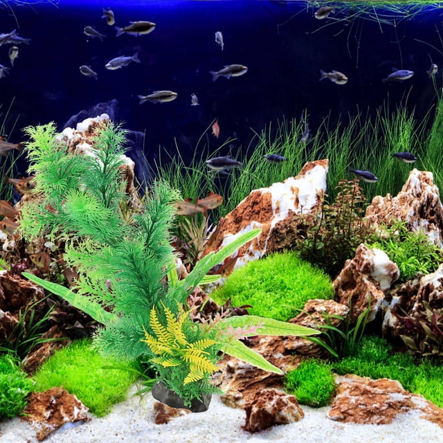NUOLUX 2Ud Flotantes Para Acuario Decorativas Resistentes Y Reemplazables