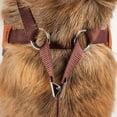 thumbnail image 4 of Pet Life ® Luxe 'Pawsh' 2-In-1 Adjustable Fashion Dog Harness and Leash, 4 of 10