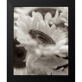 thumbnail image 2 of Blaustein, Alan 20x24 Black Modern Framed Museum Art Print Titled - Florison - 3, 2 of 5