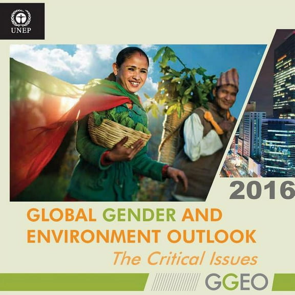 Global Gender and Environment Outlook 2016: The Critical Issues (Paperback)