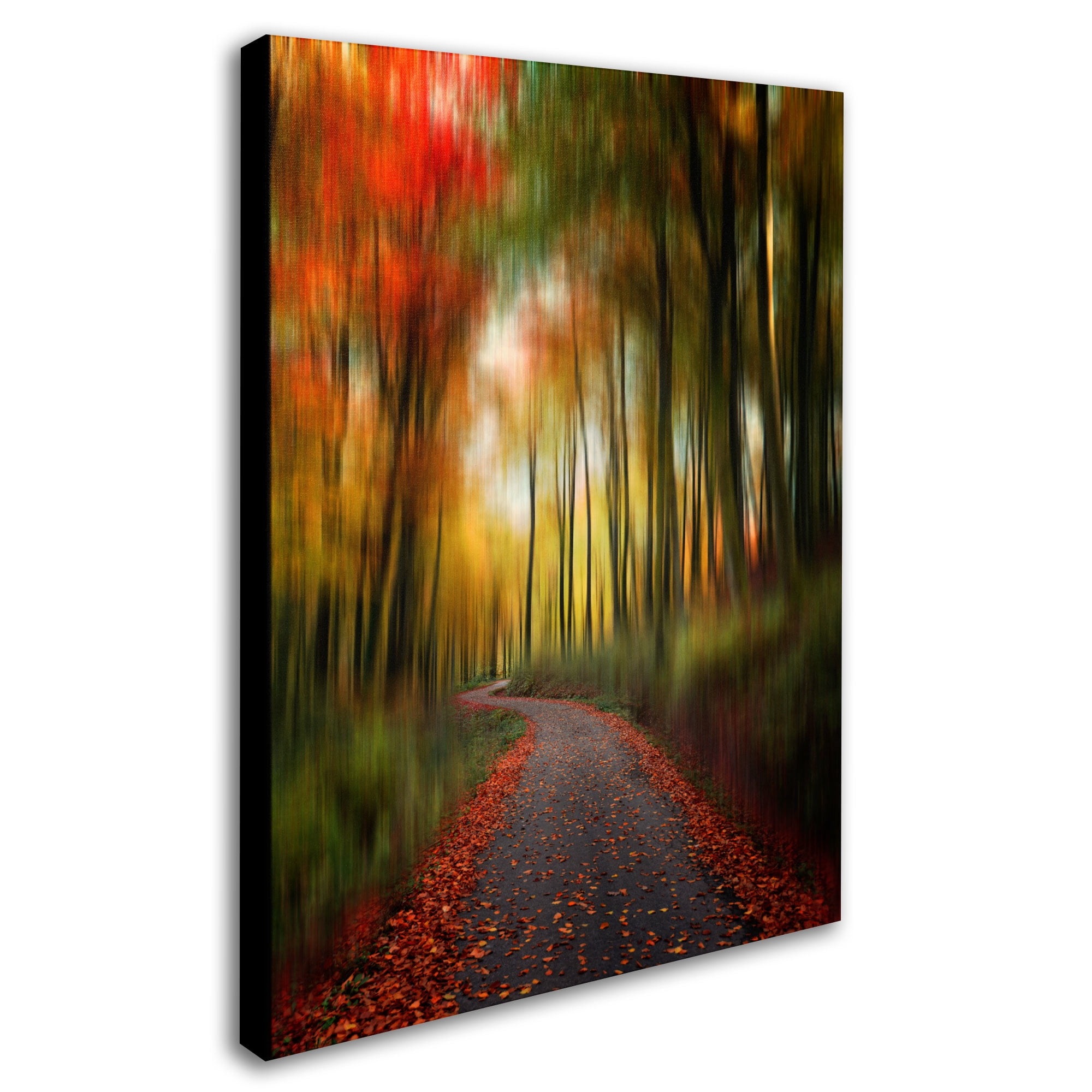 Trademark Fine Art "The Lost Path" Canvas Art by Philippe Sainte-Laudy