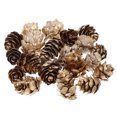 thumbnail image 3 of 1 juego de 20 piezas conos de pino decorativos navideños piñas accesorios de caja de flores, 3 of 7