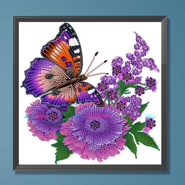 Diamante pintura 5D DIY parcial especial en forma de taladro mariposa decoración del hogar JShteea El nuevo