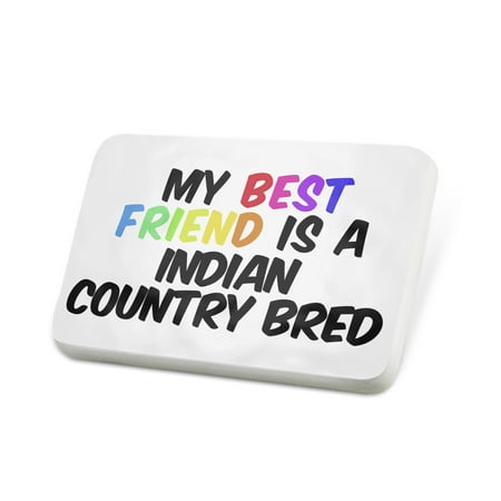 Porcelein Pin My best Friend a Indian Country Bred, Horse Lapel Badge – (Best Indian Male Models)
