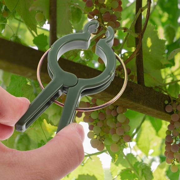 Toyandona 12- Plant Clips for Garden Stem Support, Climbing Plant Clamps for Secure Growth and Easy Gardening