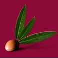thumbnail image 3 of Cuidado de la piel Melvita, 3 of 4