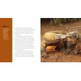 thumbnail image 3 of Living Wild: Living Wild: Komodo Dragons (Paperback), 3 of 3