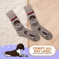 thumbnail image 4 of Foozys Mens Crew Socks | Cute Dog Dad Funny Gift for Canine Pet Novelty | 1 Pair - German Shorthaired Pointer, 4 of 4