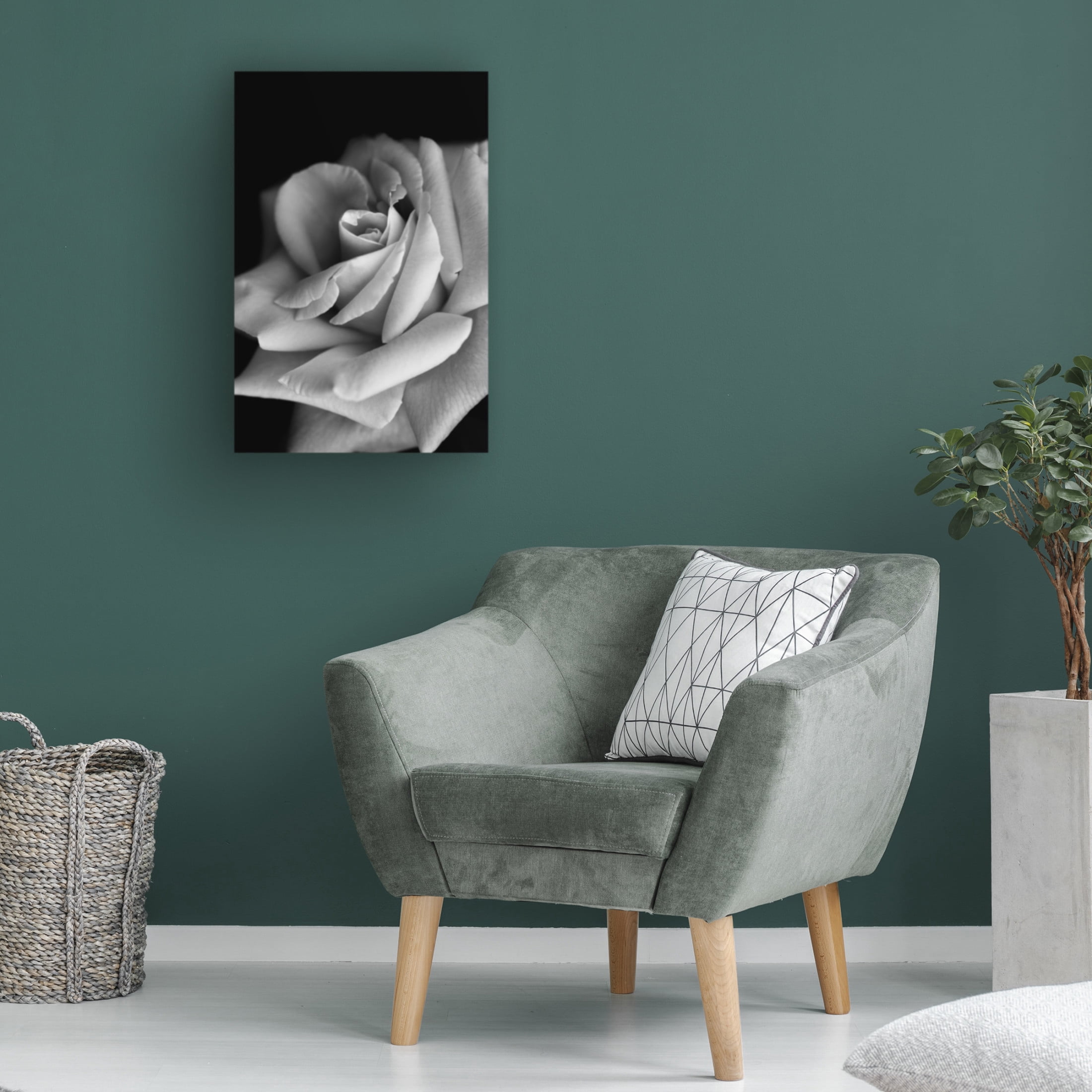 Trademark Fine Art Makihiko Hayama  Roses Canvas Wall Art
