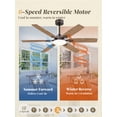 thumbnail image 4 of Lokivas 52in Ceiling Fans with Light and Remote Control, Modern Ceiling Fan with 6 Speeds, Reversible and Dual Finsh Blade for Indoor, Outdoor, Bronze, 4 of 8