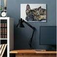 thumbnail image 2 of Stupell Industries Shepard Puppy Dog Pet Animal Watercolor Painting Canvas Wall Art by George Dyachenko, 2 of 6