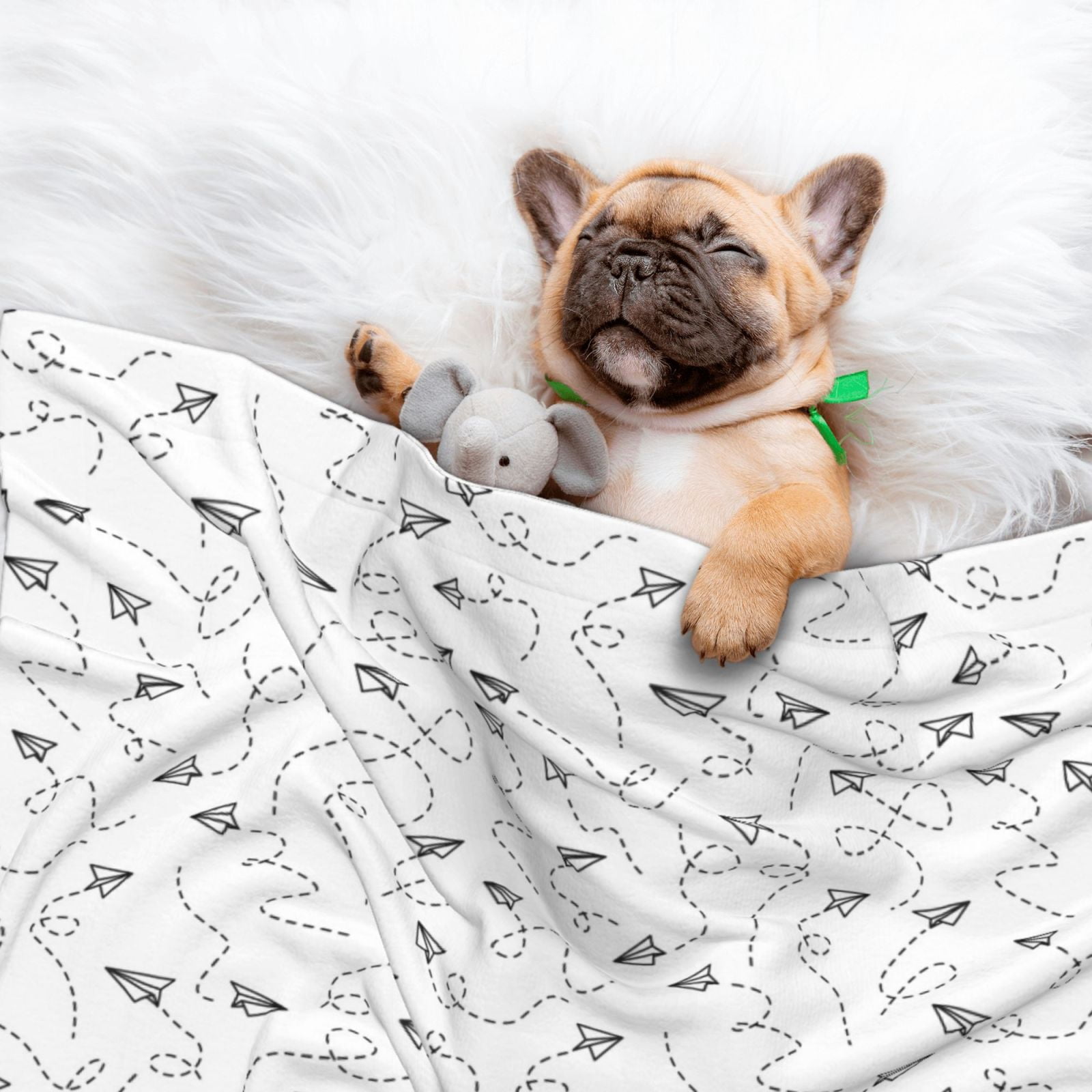 Naloa Airplane Dog Blanket, 3 Sizes Cat Blanket for Indoor Cats Large Medium Small Dog Gifts-Medium