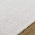 thumbnail image 5 of BoutiqueRugs Butrus Traditional Area Rug - Ivory, Pearl, Light Gray - 8' x 10', 5 of 6