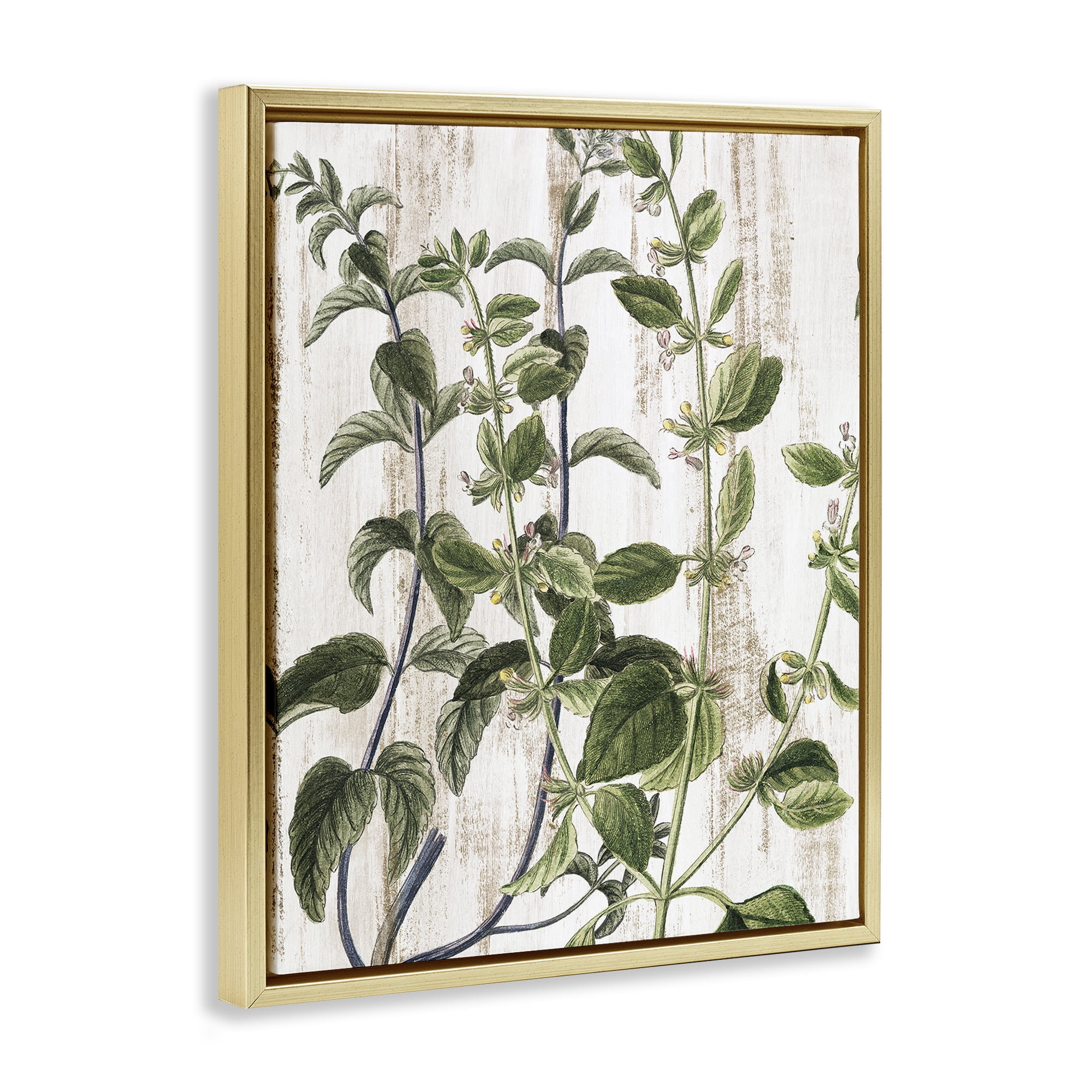 Stupell Industries Rustic Botanical Vines Botanical & Floral Painting Gold Floater Framed Art Print Wall Art, 25 x 31