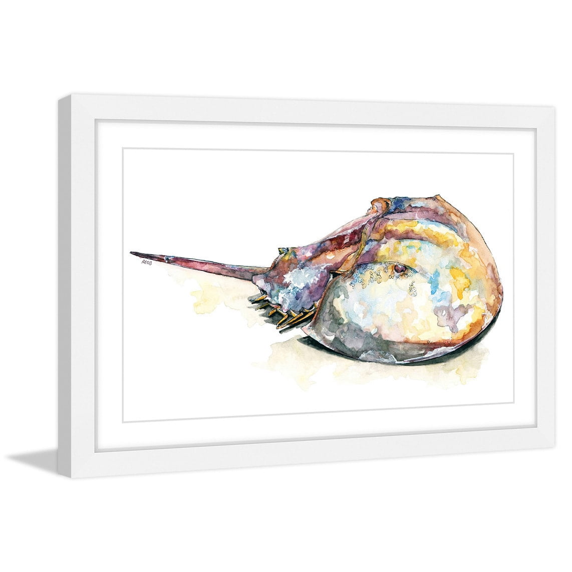 Marmont Hill "Horseshoe Crab" by Rachel Byler Framed Painting Print