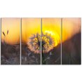 thumbnail image 2 of Stunning Dandelion View At Sunset - Floral Canvas Art Print, 2 of 3