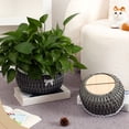 thumbnail image 4 of BotaniNest Woven Planter With Wooden Base Lace & Bow Decorative For Succulents And Indoor Liner Included, 4 of 7