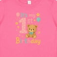 thumbnail image 4 of Inktastic 1st Birthday Cute Teddy Bear Theme Boys or Girls Baby T-Shirt, 4 of 5