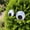 B, variant on Self-Adhesive Giant Wiggle Googly Eyes 2 Pack, Peel & Stick Big Moving Eyes for Pumpkin Thanksgiving Christmas DIY Decor