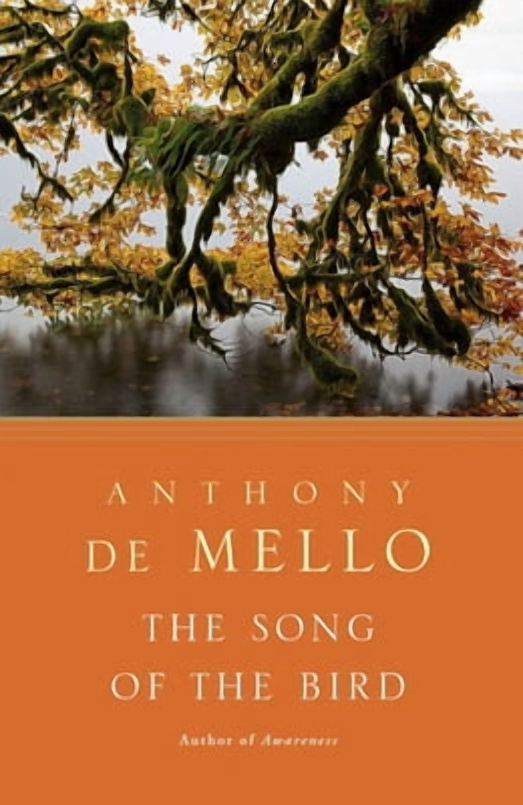 The Song of the Bird, (Paperback) - Walmart.com