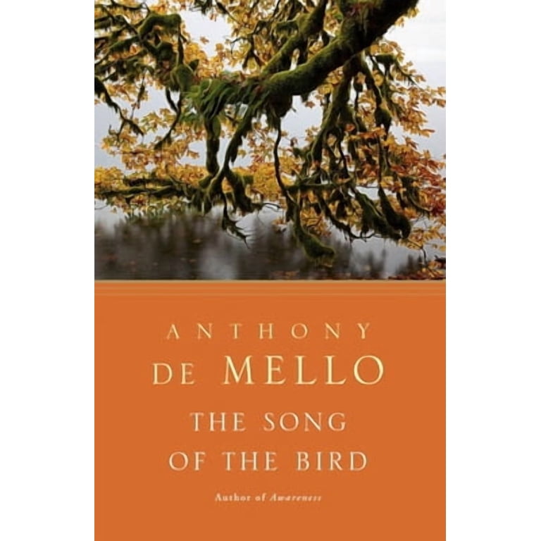 The Song of the Bird, (Paperback) - Walmart.com