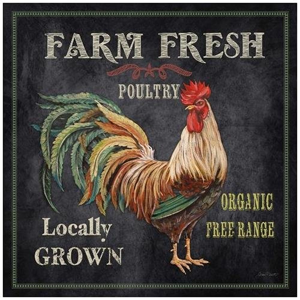 CANVAS Farm Fresh Rooster by Jean Plout 18x18 Farmhouse Animal Graphic