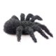 thumbnail image 5 of 2 Piezas de Accesorios de Halloween para Pedir Dulces, Simulación de Red Colgante para El Cabello, Decoración para Cine y Televisión, Bar, Sala, Accesorios Aterradores, 5 of 7