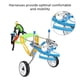 thumbnail image 4 of Dog Leg Brace, Dog Wheelchair, Adjustable for Pet Cats Dog Hind Legs ANGGREK CGCW03, 4 of 8