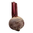thumbnail image 2 of Betabel por kilo, 2 of 4